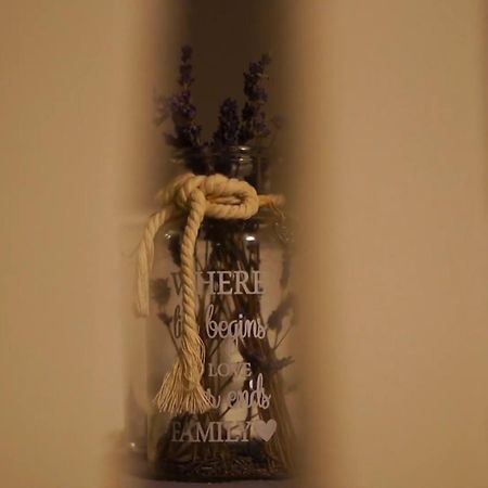 Guest House Carpathia Vişeu de Sus エクステリア 写真