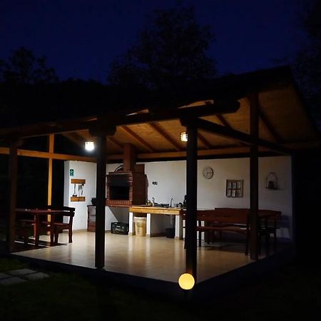 Guest House Carpathia Vişeu de Sus エクステリア 写真
