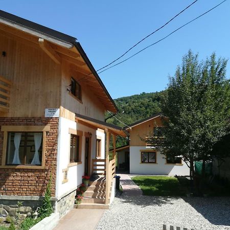 Guest House Carpathia Vişeu de Sus エクステリア 写真