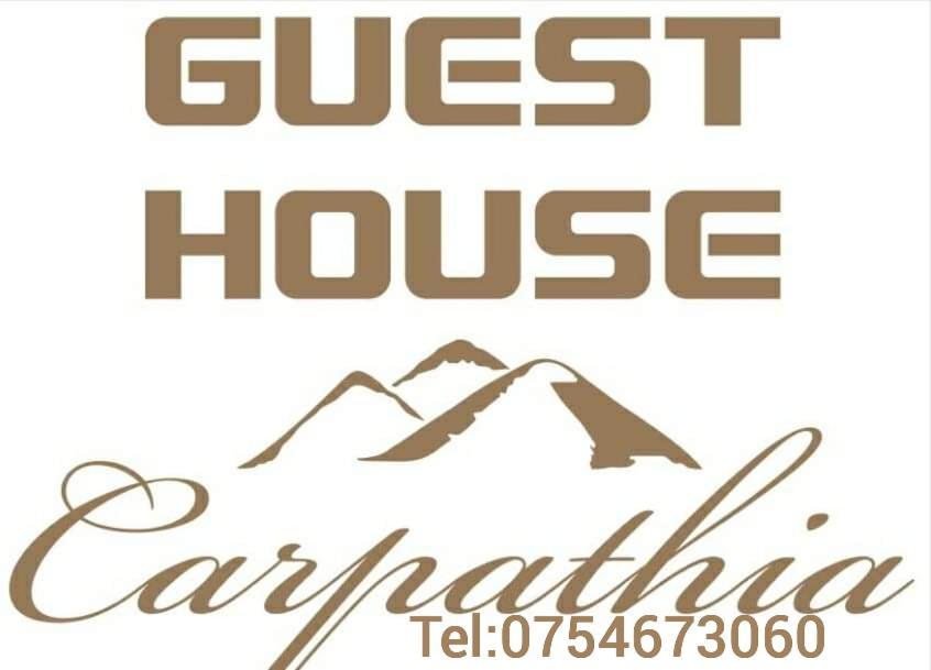 Guest House Carpathia Vişeu de Sus エクステリア 写真