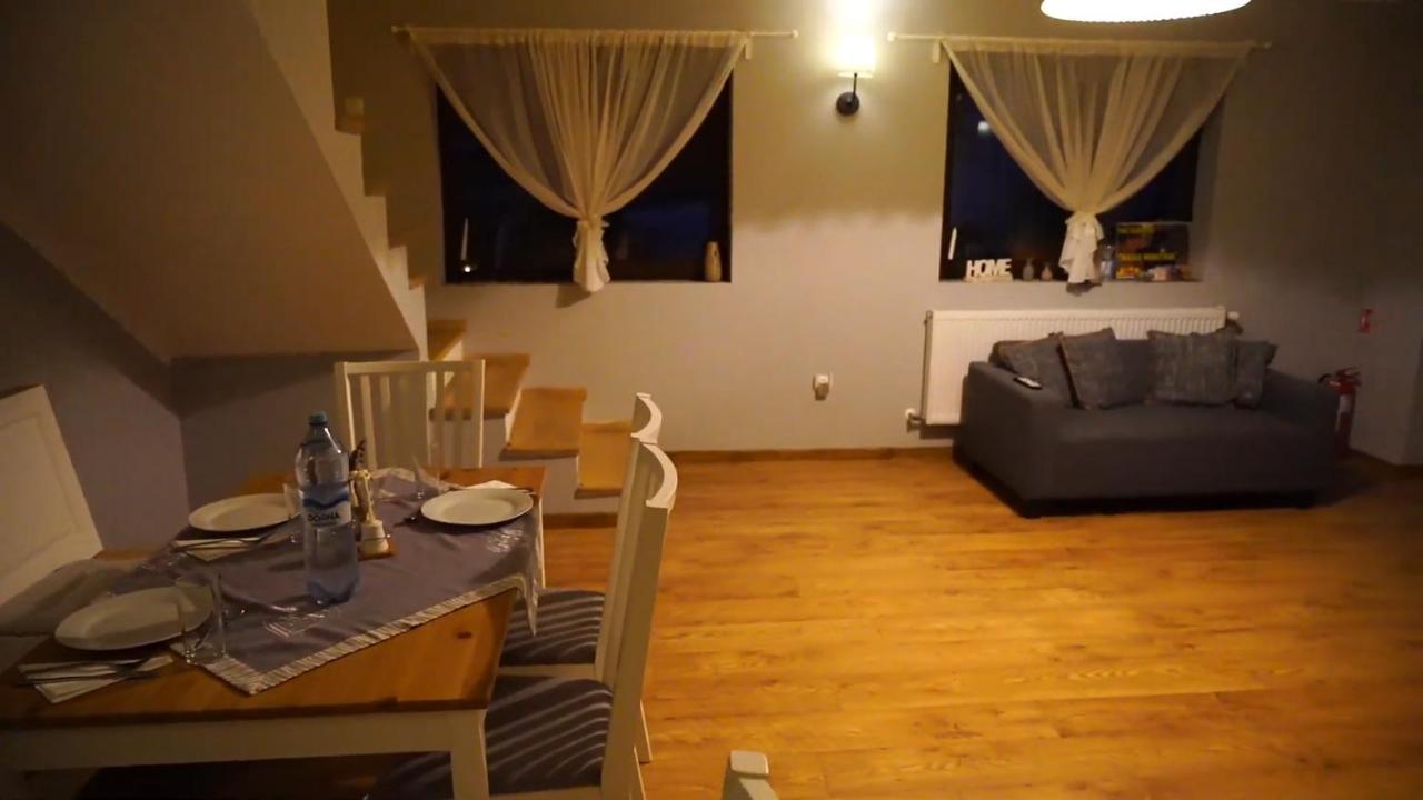 Guest House Carpathia Vişeu de Sus エクステリア 写真