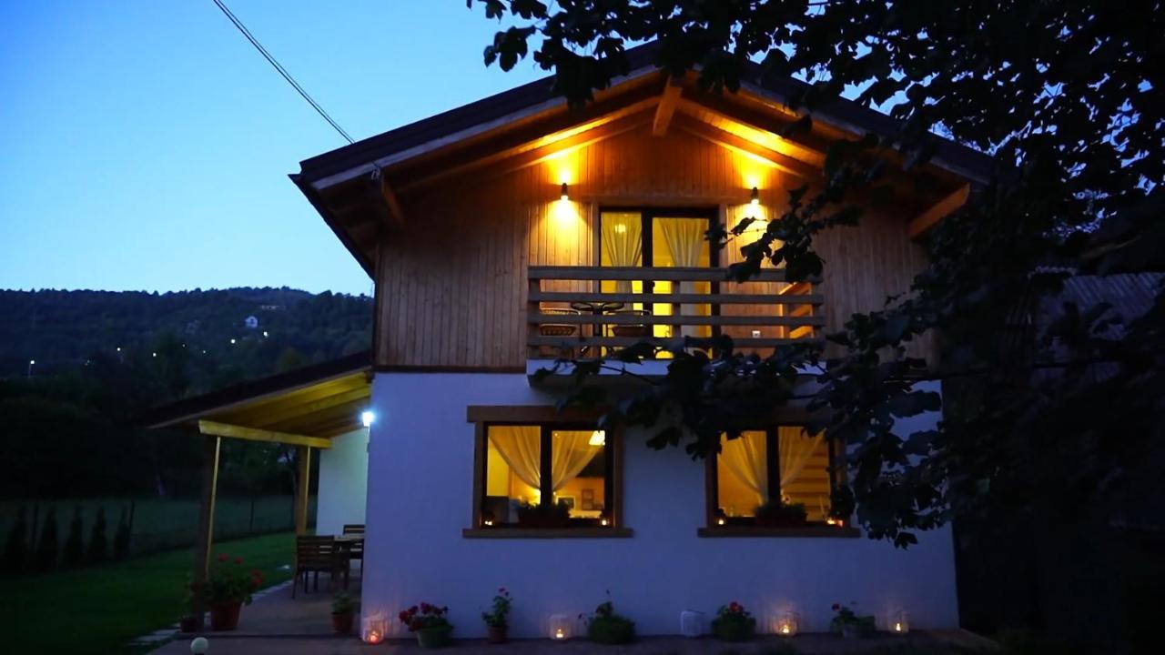 Guest House Carpathia Vişeu de Sus エクステリア 写真