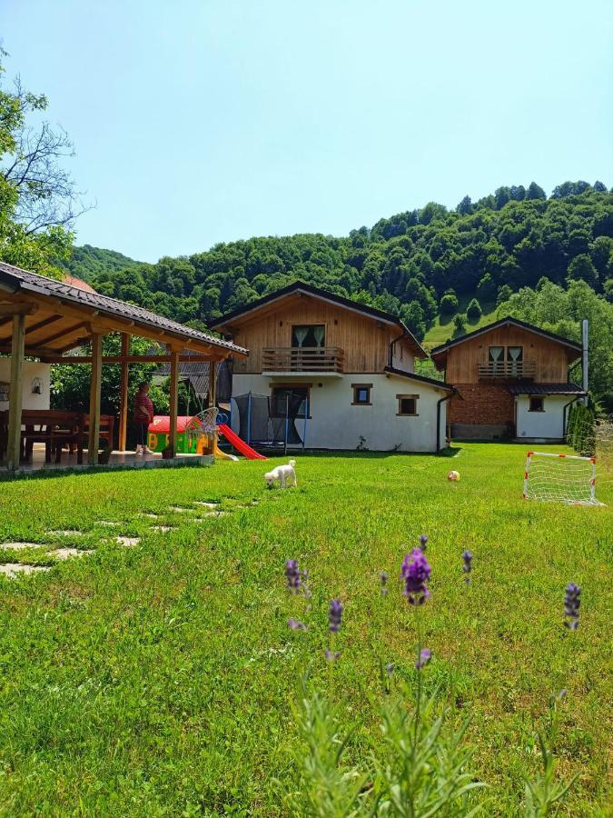 Guest House Carpathia Vişeu de Sus エクステリア 写真