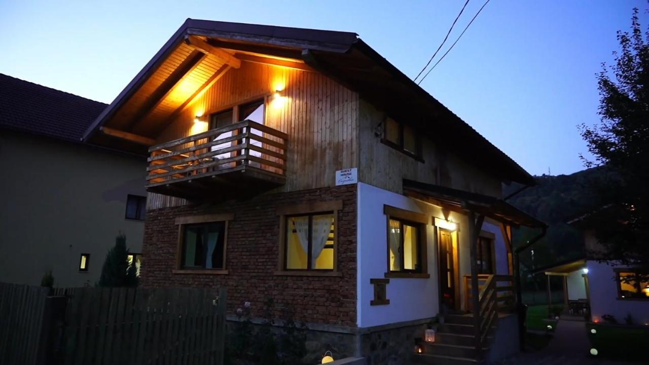 Guest House Carpathia Vişeu de Sus エクステリア 写真