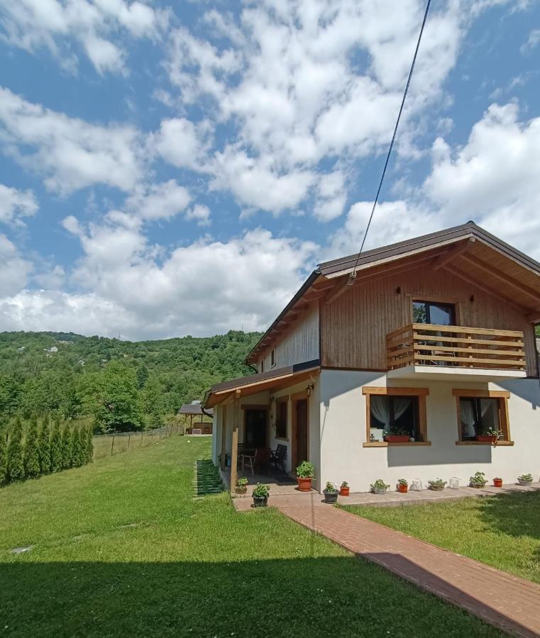 Guest House Carpathia Vişeu de Sus エクステリア 写真