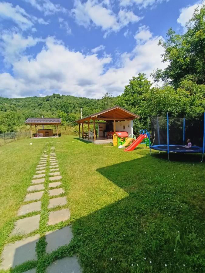 Guest House Carpathia Vişeu de Sus エクステリア 写真