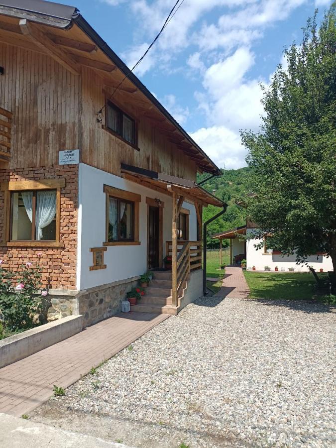 Guest House Carpathia Vişeu de Sus エクステリア 写真