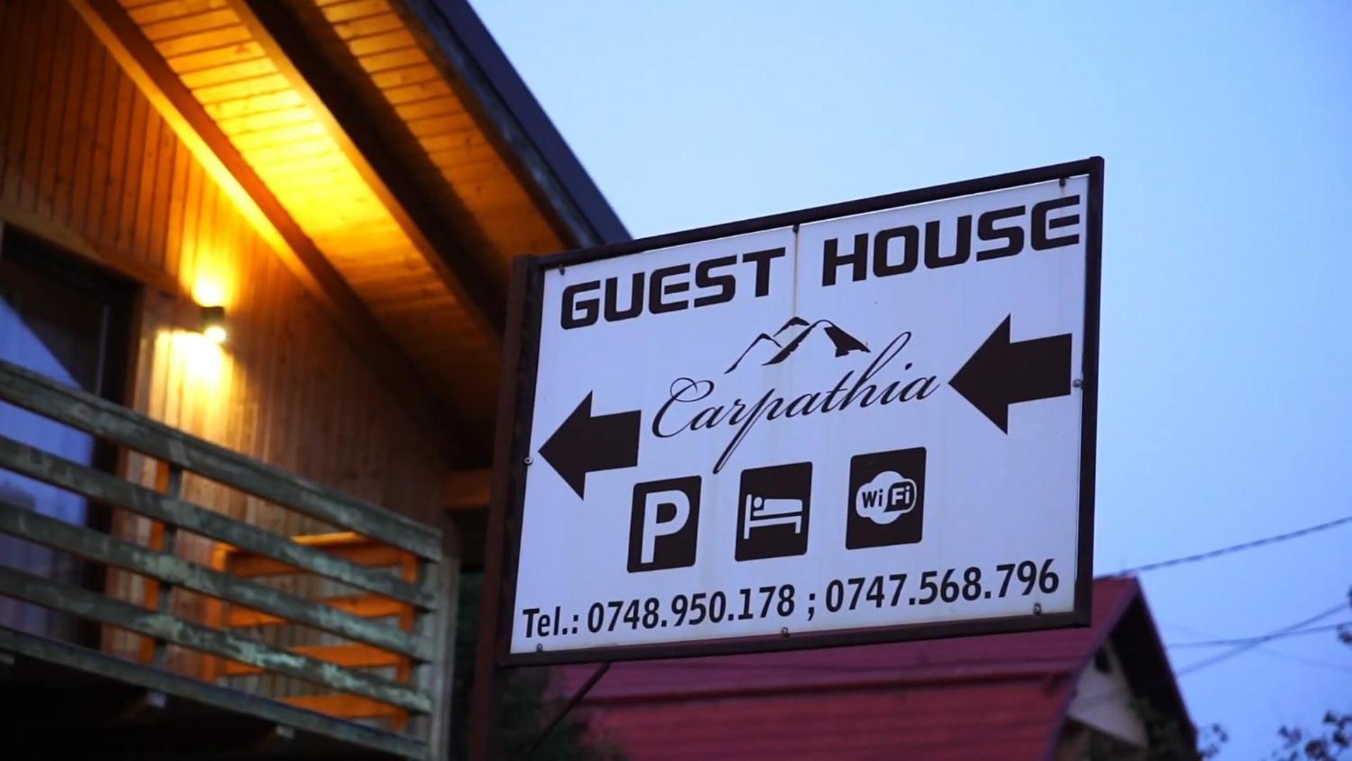 Guest House Carpathia Vişeu de Sus エクステリア 写真