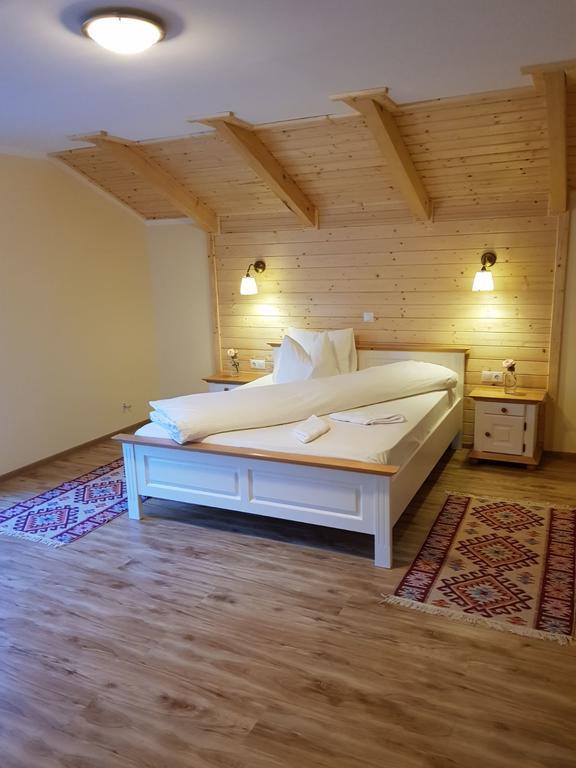 Guest House Carpathia Vişeu de Sus エクステリア 写真