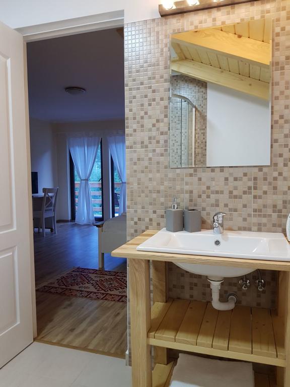 Guest House Carpathia Vişeu de Sus エクステリア 写真