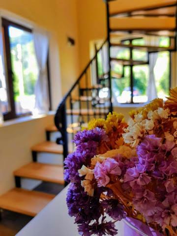 Guest House Carpathia Vişeu de Sus エクステリア 写真